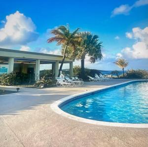 a swimming pool in front of a house with palm trees at Tropical Oasis in Christiansted +21 photos