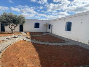 a white building with blue windows and a tree at Darnamed in Nador