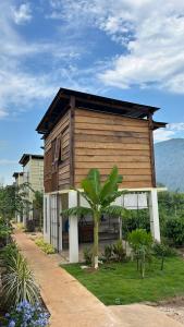 a small house with a palm tree in front of it at Em Cá Gỗ Farmstay in Phước Bình