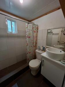 a bathroom with a toilet and a sink at Oasis Cabarete Guesthouse in San Felipe de Puerto Plata