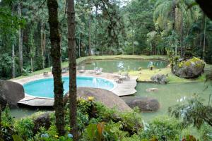 a swimming pool in the middle of a forest at Pousada Águas do Alto in São Francisco Xavier