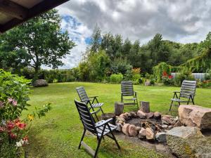 a group of chairs sitting around a fire pit at Agroturystyka „Między Polami” in Zalewo