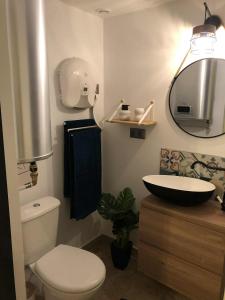 a bathroom with a toilet and a sink and a mirror at TROGLODYTE - La Grotte d'Auré in Le Puy-Notre-Dame