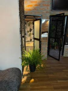 a room with a potted plant and a mirror at Killa Glamping in Sangolquí
