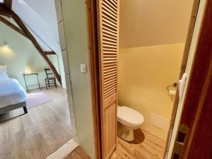 a bathroom with a toilet and a bed in a room at Les Sibylles in Châtellerault +25 photos
