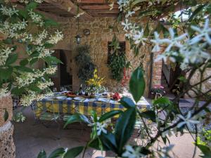A garden outside Farmhouse in Proceno with Pool Views