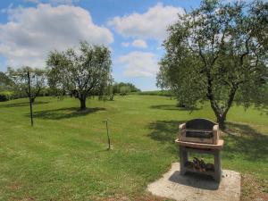 A garden outside Farmhouse in Proceno with Pool Views
