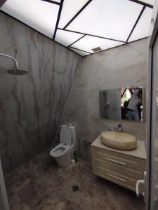 a bathroom with a sink and a toilet and a mirror at Emaar Afreem Pastar Qebele in Gabala +15 photos