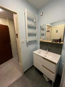 a bathroom with a white sink and a mirror at L'ourson B2 in La Bresse +7 photos
