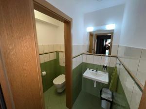 a bathroom with a toilet and a sink and a mirror at Opilý Sklep č3 in Velké Pavlovice