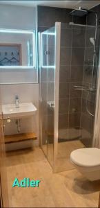 a bathroom with a shower and a toilet and a sink at FeWo Holzwarth Oberammergau in Oberammergau +10 photos