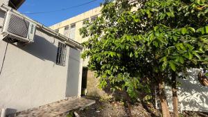 a tree next to a white building with a window at Le lis de Udol in Pointe-à-Pitre
