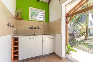 a kitchen with a sink and a green wall at Gîte Dalina Sainte-Rose in Sainte-Rose