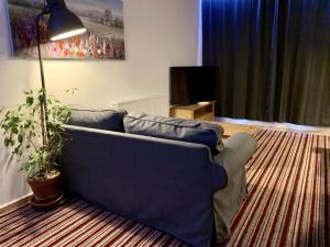 a living room with a blue couch and a plant at The Waterfront Lodges in Coventry