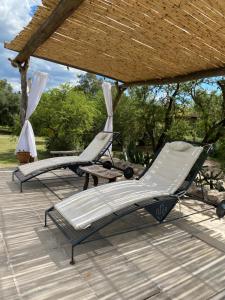 two lounge chairs on a patio with a gazebo at Color Local Cabañas in San Javier
