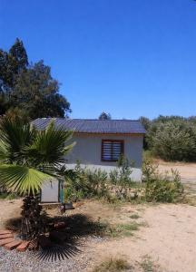 a small white house with a palm tree in front of it at Cabañas Montina Hualqui piscina y tinaja in Concepción