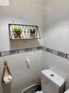 a bathroom with a toilet and two plants on a shelf at Charming Cozy Retreat - Terrace & Private Balcony in Coimbra +12 photos
