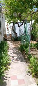 a walkway in a garden with a tree and a bench at Glamaué 2 in Carhué