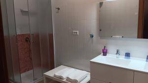 a bathroom with a shower and a toilet and a sink at Casa dell'Aloe in Angri +31 photos