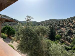 a view of a hill with bushes and trees at Cortijo rural Los Pinos in Villanueva de Algaidas