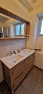 a bathroom with a sink and a mirror at Maison du Gué 2 chambres in Gurgy +30 photos
