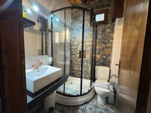 a bathroom with a shower and a sink and a toilet at Chalet Asteras tou Vorra in Palaios Agios Athanasios