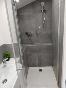 a bathroom with a shower with a toilet and a sink at Cottage with large garden in Rieumajou +45 photos