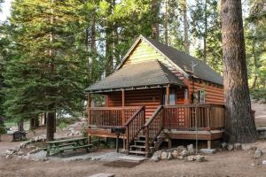 a cabin in the woods with a picnic table and a bench at Shaver Lake Village Hotel in Shaver Lake