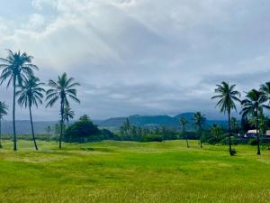 a group of palm trees in a green field at Beachfront 1 Bedroom Condo with Private Beach, Pool, Hot Tub in Pahala