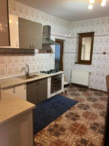 a kitchen with a sink and a stove at Vila Maria in Roman