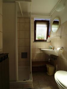 a bathroom with a sink and a shower at Apartma Rutar in Tolmin