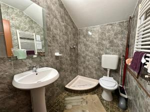 a bathroom with a sink and a toilet at Raza Soarelui in Moieciu de Sus +41 photos