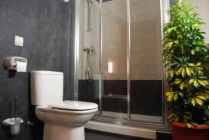 a bathroom with a toilet and a shower with a plant at Casanavalon in El Peral +6 photos