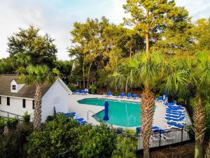 a swimming pool with blue chairs and palm trees at The Suite Carolinas in Charleston