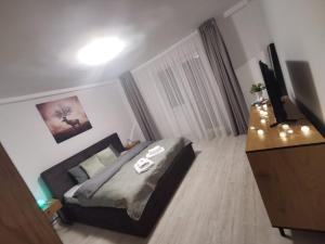 a bedroom with a bed and a television in it at Danube House in Cluj-Napoca