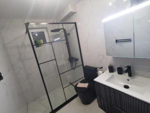 a bathroom with a shower and a toilet and a sink at Danube House in Cluj-Napoca +12 photos