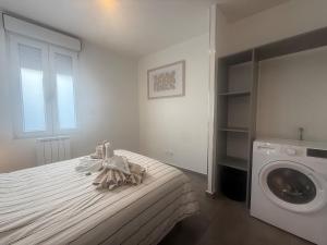 a room with a bed with a washing machine at La Pause Alpine - Centre Ville - Proche Gare in Saint-Jean-de-Maurienne