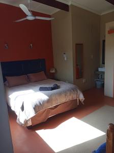 a bedroom with a bed and a ceiling fan at Karoo Saloon in Barrydale
