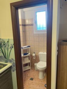 a bathroom with a toilet and a window at Ioannis Apartment in Syvota +6 photos
