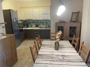 a kitchen with a long wooden table with chairs at Ioannis Apartment in Syvota