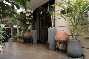 a lobby with a bunch of potted plants at Monun Boutique Hotel in Tirana