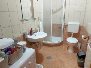 a bathroom with a sink and a toilet and a shower at Apartman Stella Banja Luka in Krndija