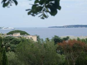 カンヌにある18th century villa in Cannes with poolの木々の大水の景色