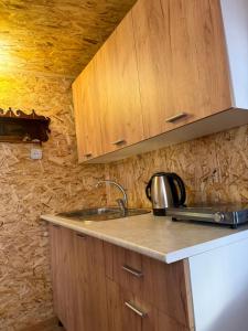 a kitchen with a sink and wooden cabinets at Sant House Dilijan in Dilijan +3 photos