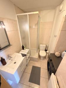a bathroom with a toilet sink and a washing machine at Appartement cosy à 10 min de Strasbourg - Bischheim in Bischheim