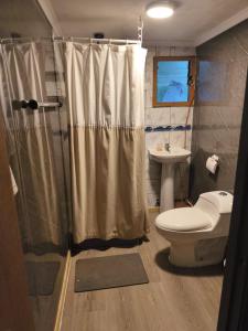 a bathroom with a shower and a toilet and a sink at Refugio PARQUE NACIONAL ALERCE ANDINO in Puerto Montt +19 photos