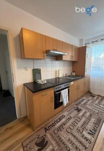 a kitchen with wooden cabinets and a rug on the floor at BEGE APARTMENTS SmartLoft in Hof +24 photos