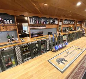 a wine bar with a bear on the counter at Red Squirrel Lodge in Sandown