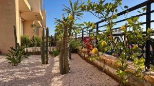 a garden with palm trees and other plants at Strandwohnung Taghazout mit Meerblick, Terrasse, Garten & Pool 2 Min zum Surfspot in Taghazout