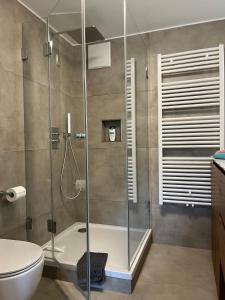 a bathroom with a shower and a toilet at ammersee apARTment Dießen in Dießen am Ammersee